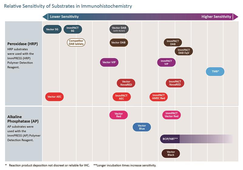 Enzyme Substrates