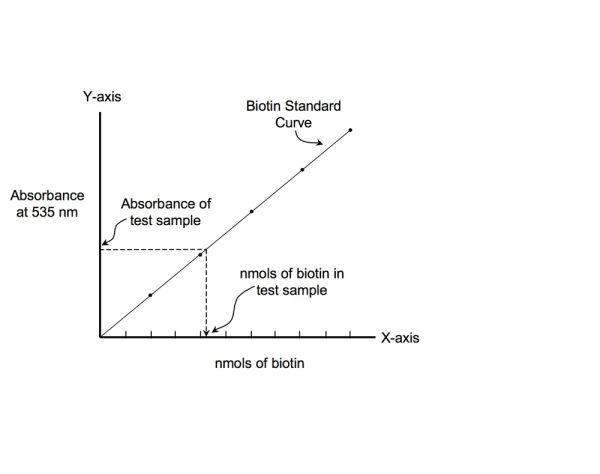 Biotin and Digoxigenin Labeling Reagents