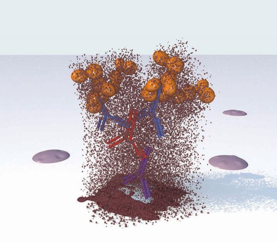 Substrate / Chromogen